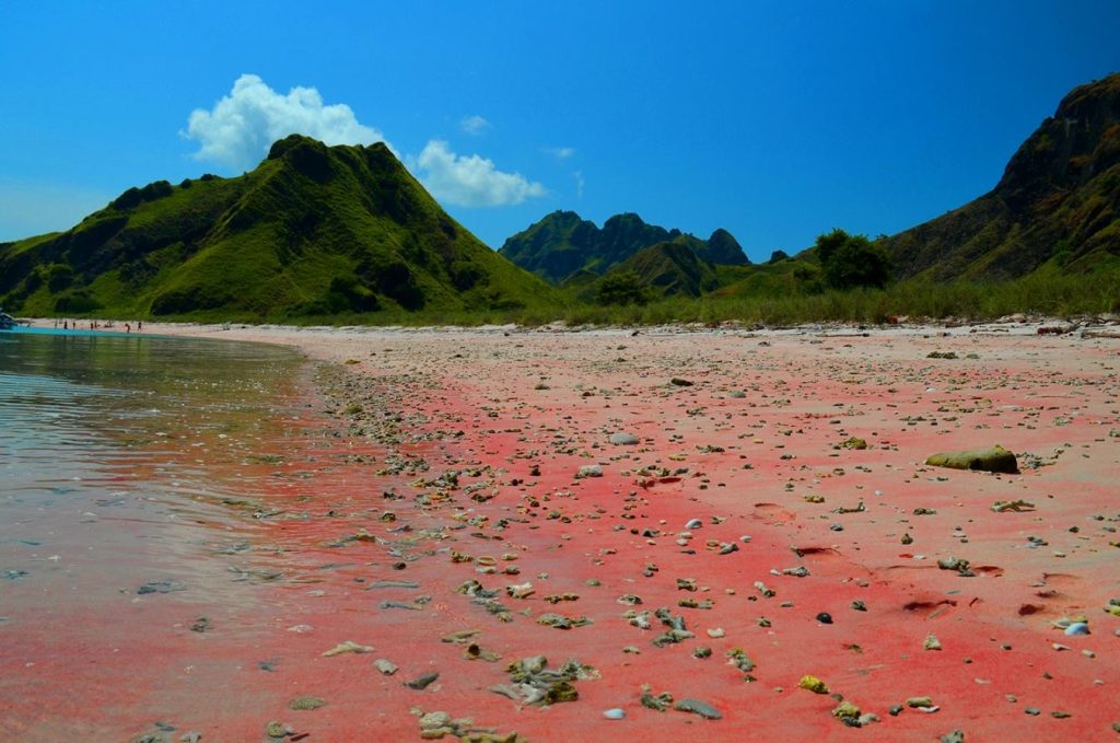 Pink Beach - Viagem para a Indonésia