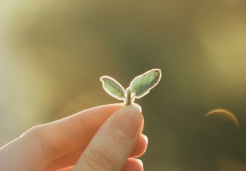 Frases sobre a vida em inglês com tradução